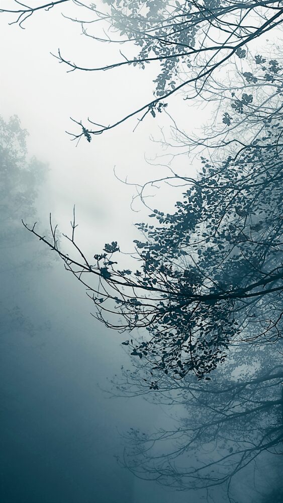 Dreamlike