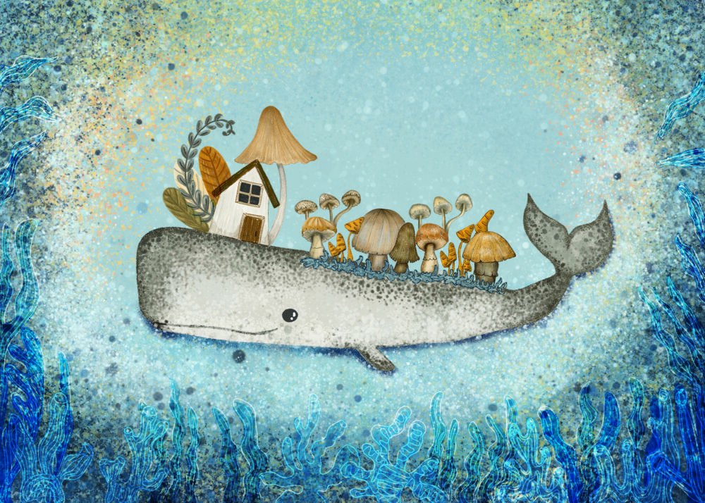 Mushroom house