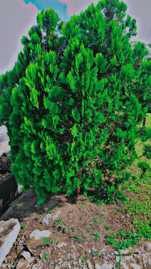 bynature bynature